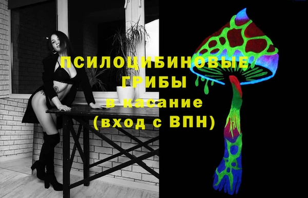 эйфоретик Абаза